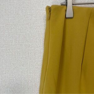 Elegant Mustard Skirt